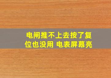 电闸推不上去按了复位也没用 电表屏幕亮